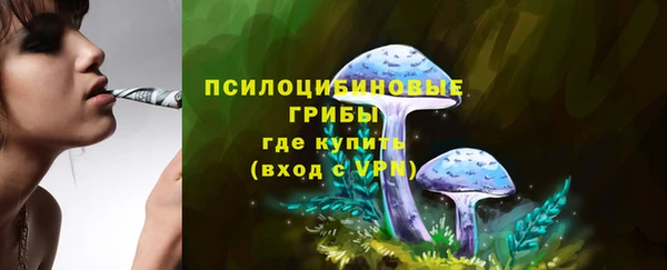 ПСИЛОЦИБИНОВЫЕ ГРИБЫ Армянск