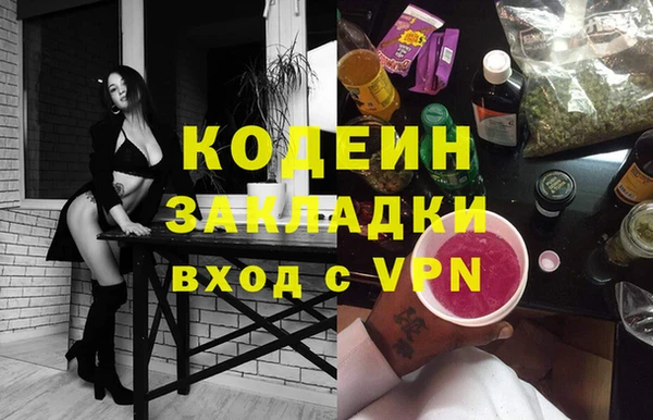 шишки Арсеньев