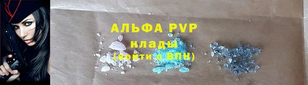 шишки Арсеньев