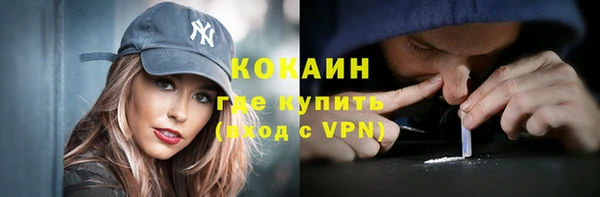 шишки Арсеньев