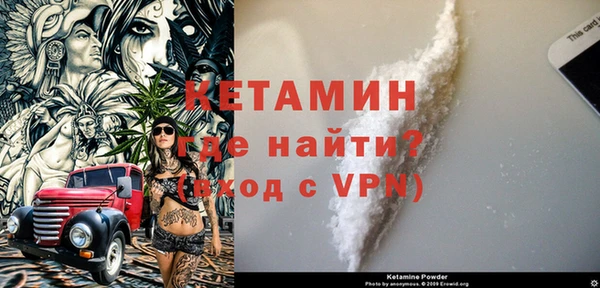 шишки Арсеньев