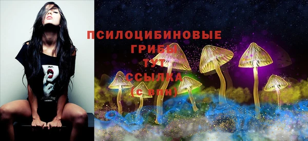 ПСИЛОЦИБИНОВЫЕ ГРИБЫ Армянск