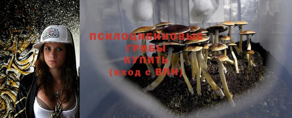 ПСИЛОЦИБИНОВЫЕ ГРИБЫ Армянск