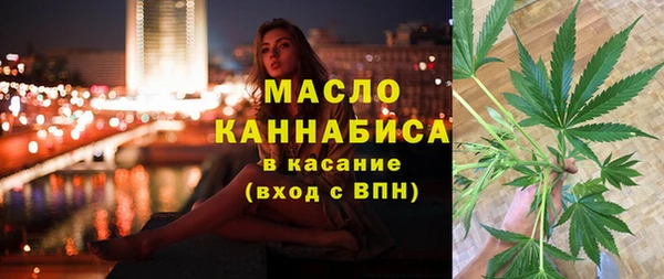 шишки Арсеньев