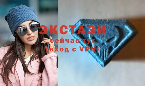 шишки Арсеньев