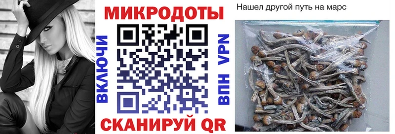 сайты даркнета состав  МЕГА рабочий сайт  Псилоцибиновые грибы прущие грибы  Лысково  закладки 